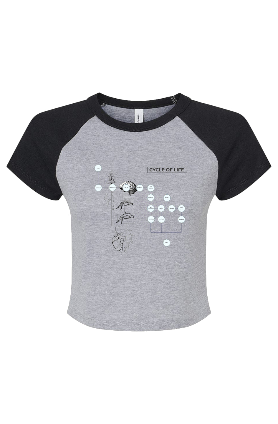 Micro Rib Raglan Baby Tee